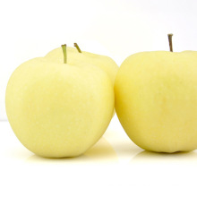 High Quanlity Fresh Gold Apple Sweet Apple